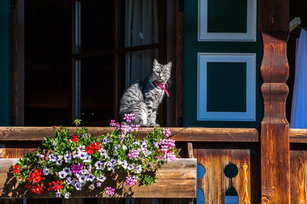 Nonna Pina Appartamento Putti Padola Exterior foto